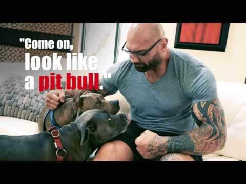 Dave Bautista opens up in interview about his love for pitbulls