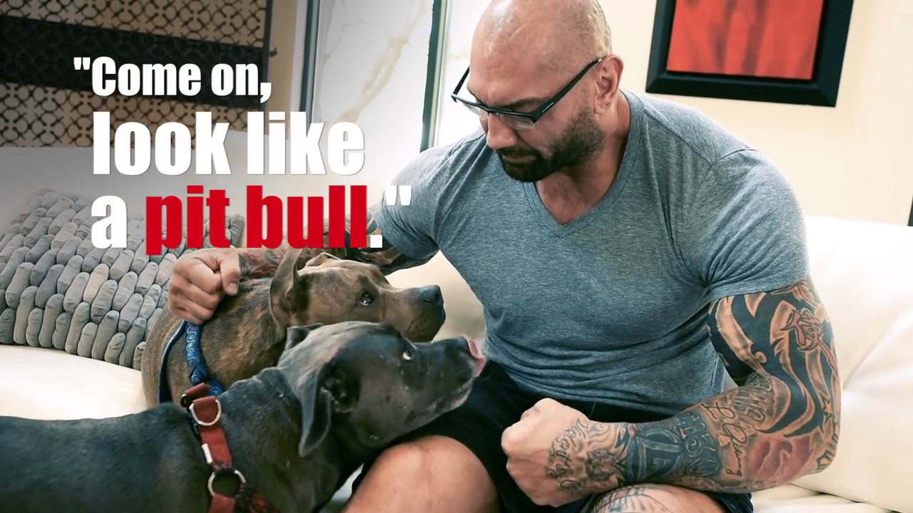 Dave Bautista opens up in interview about his love for pitbulls