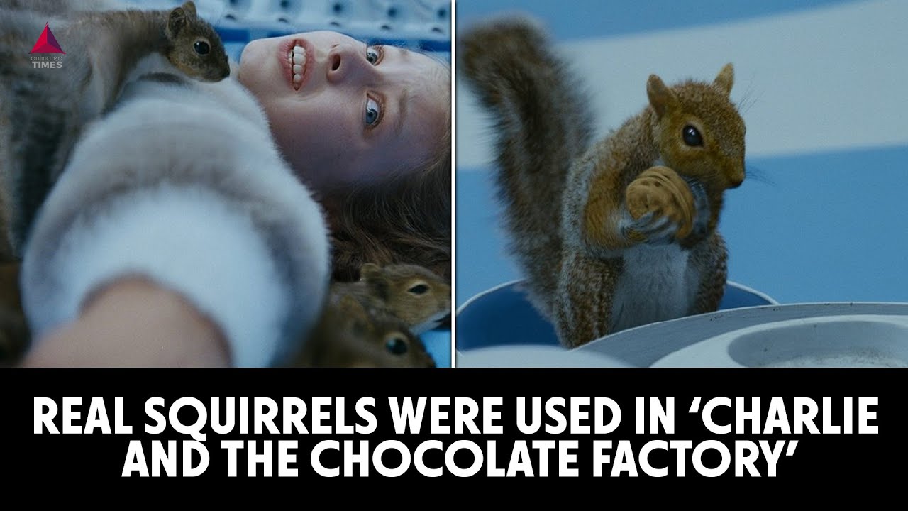Real squirrels were used in ‘Charlie And The Chocolate Factory’ | #Shorts