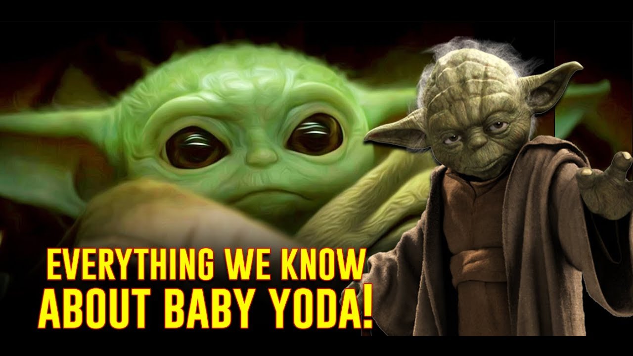 Everything We Know About Yoda And His Species