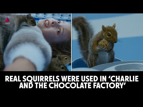 Real squirrels were used in ‘Charlie And The Chocolate Factory’ | #Shorts