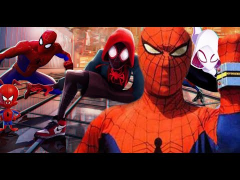 7 Versions Of Spider-Man We Really Want To See Spider-Verse 2 (2022)