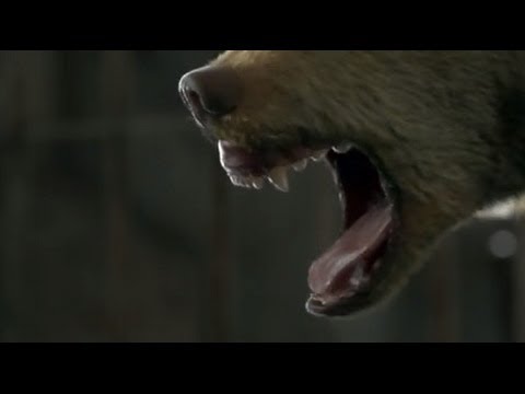 BITTEN Trailer