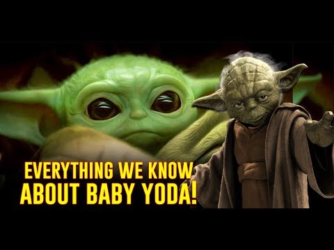 Everything We Know About Yoda And His Species