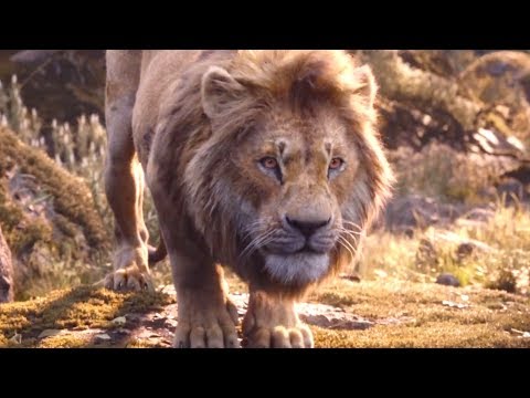 The Critics Have Seen The Lion King And Here's What They Say
