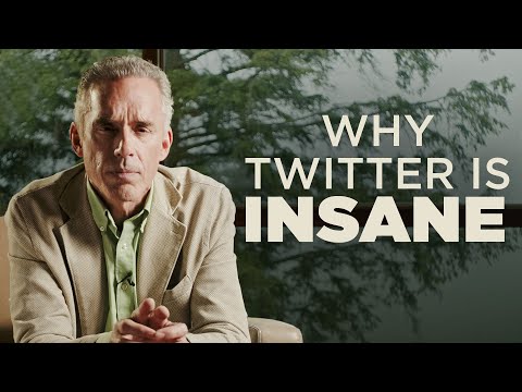 Why Twitter Is Insane
