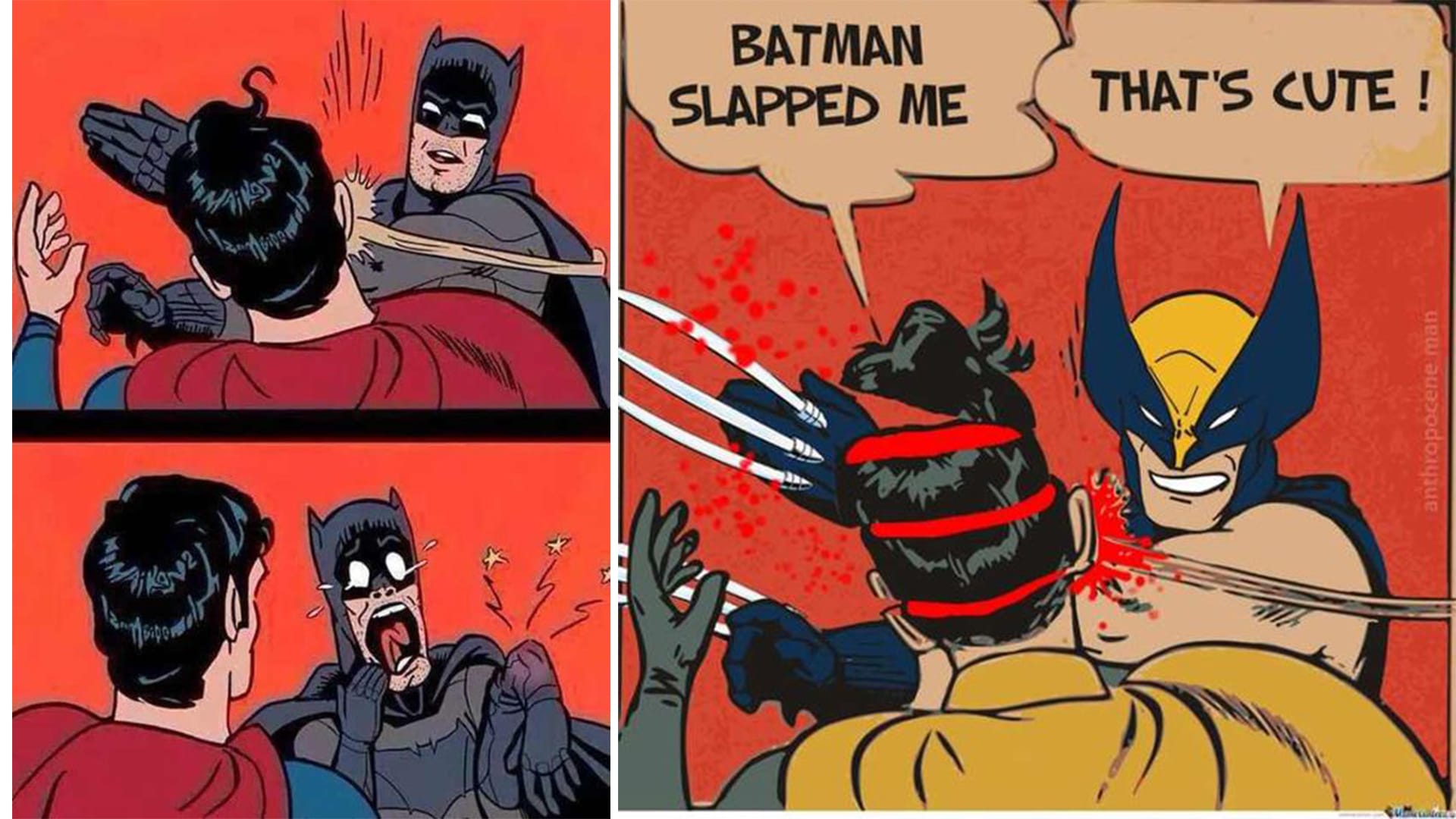 15 Savage Batman Slapping Robin Memes That Will Have You Laughing Like  Crazy - Animated Times