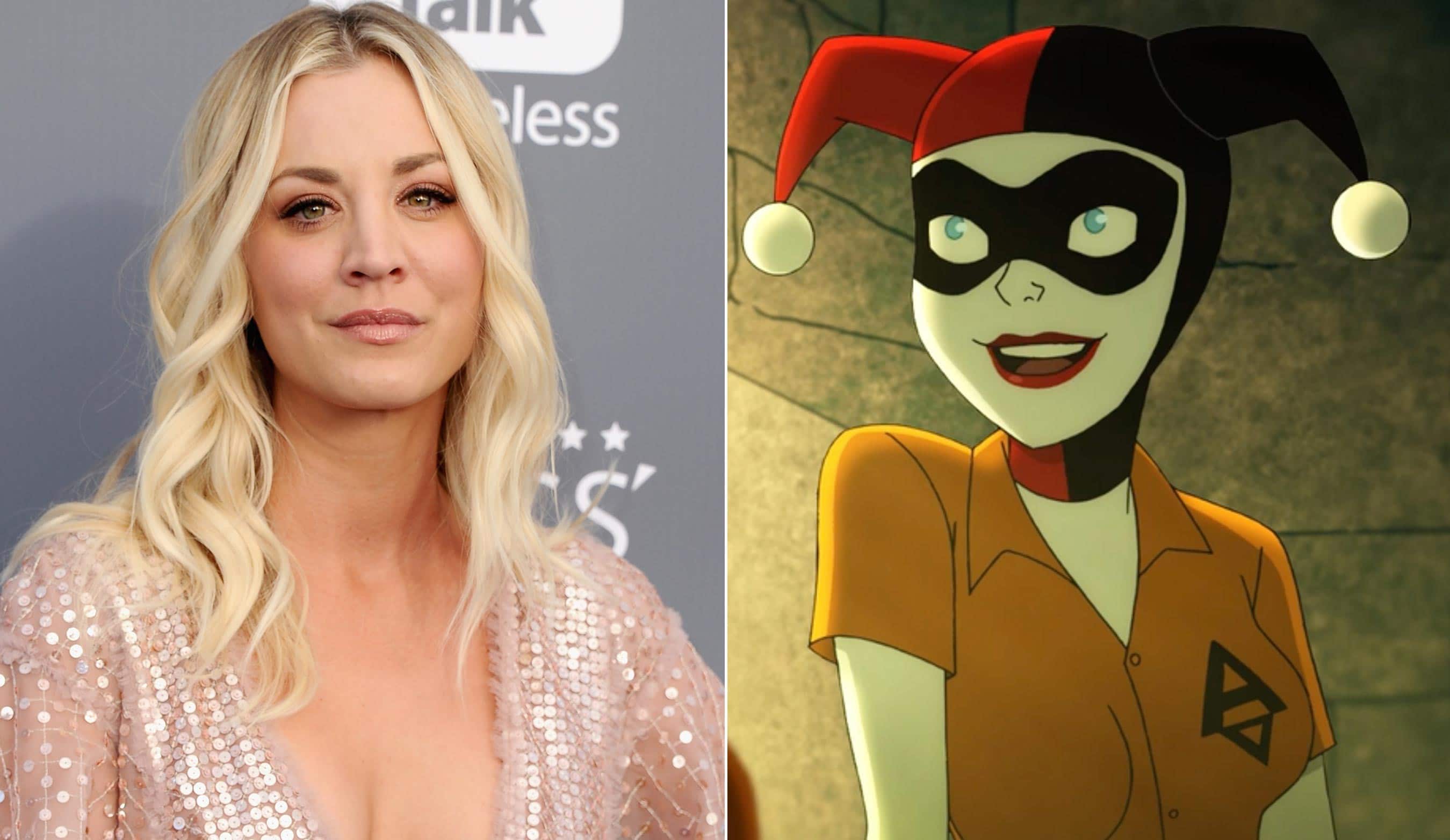 Kaley Cuoco Cast as Harley Quinn in Animated Series