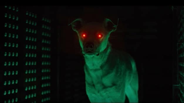 Best Official Look At ‘Krypto The Superdog’ Released By DC Universe