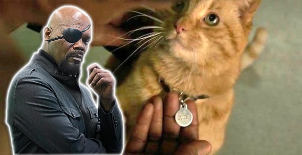 Is Captain Marvel’s ‘Cat’ Responsible For ‘Nick Fury’ Losing His Eye?