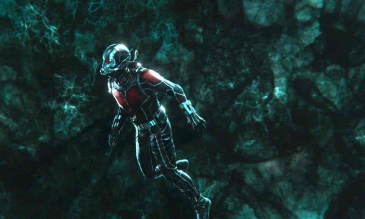 Endgame: Fan Theory Suggests The Ant-Man We See Is A Time Traveller