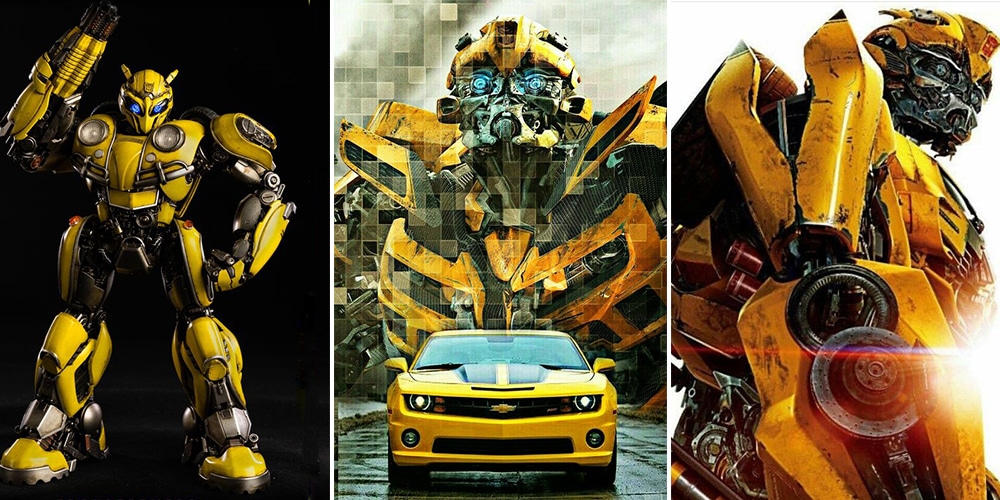 7 Weird Details About Bumblebee’s Body We Bet You Didn’t Know