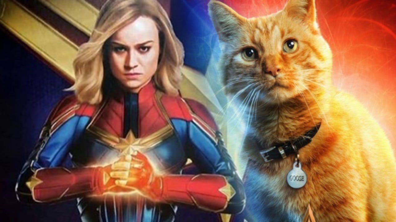 Captain Marvel: 4 Theories About Her Cat Goose (and Three Facts As To What She Might Be)