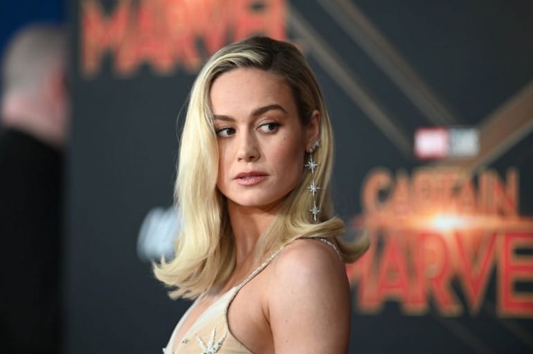 Brie Larson, Avengers: Endgame star wants Marvel Studios to continue exploring diversity.