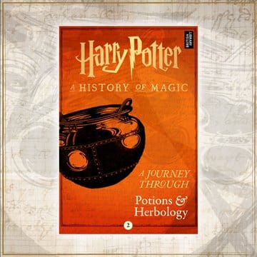 Harry Potter: A History of Magic E-Book