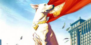 Krypto's Origin Story