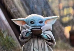 Baby yoda visits Jurassic park