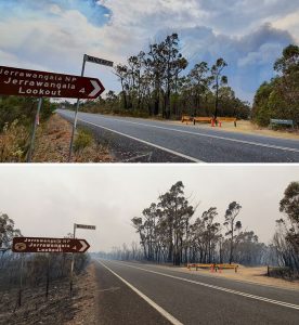 australia bushfires before after photos 4 5e158a3396877 700