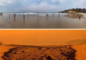 australia bushfires before after photos 5 5e158a9074195 700
