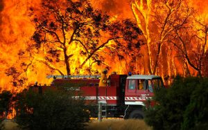 Australian Bush-fire (Then vs Now)