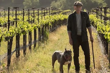 Star Trek: Picard will begin with a retired Picard. Pic courtesy: variety.com
