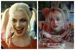 What was Life of the Quinn like between Suicide Squad And the New Movie?