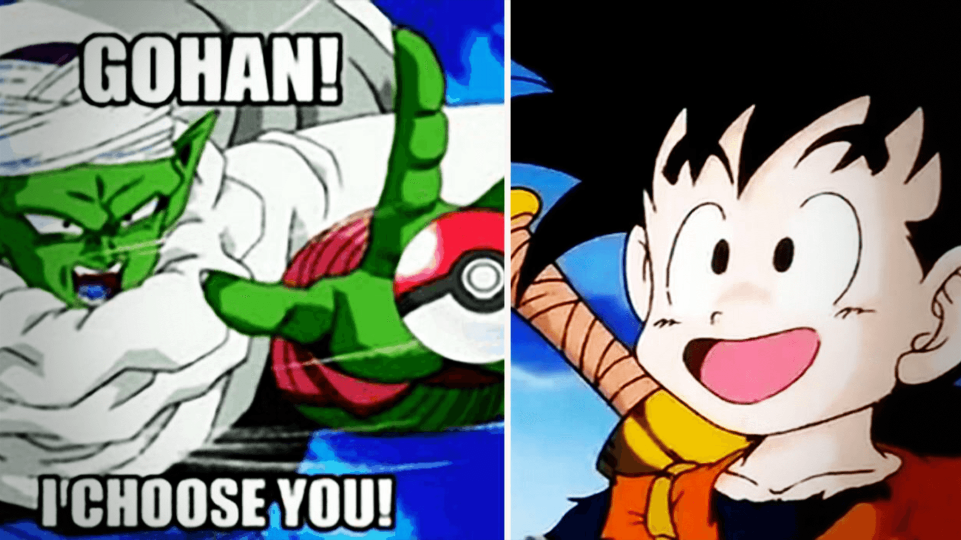 Gohan And Piccolo Memes Only True DBZ Fans Will Understand.