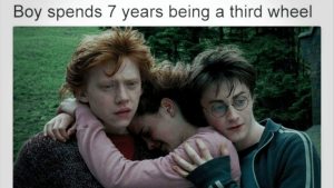 10 Harry Potter Memes That Prove Harry And Hermione Were True BFFs