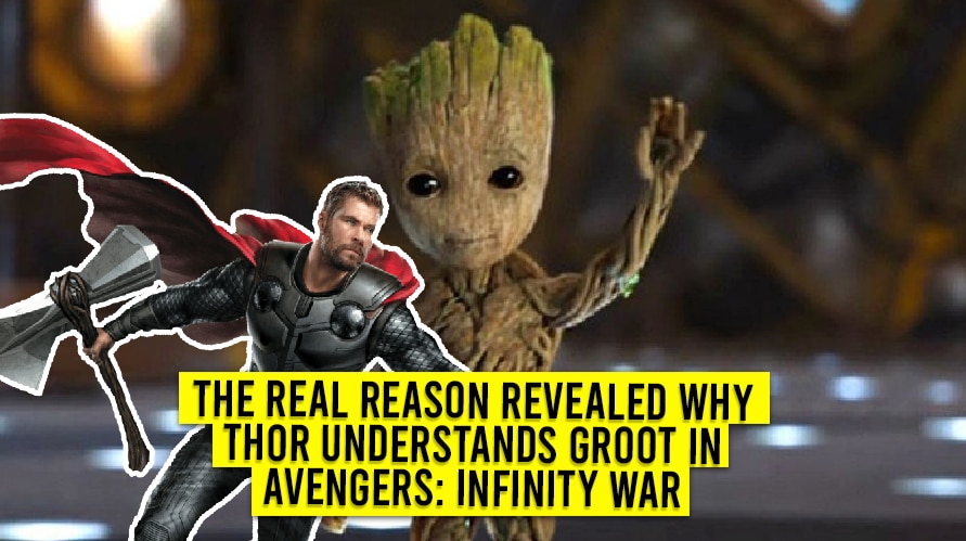 The Real Reason Revealed Why Thor Understands Groot in Avengers Infinity War