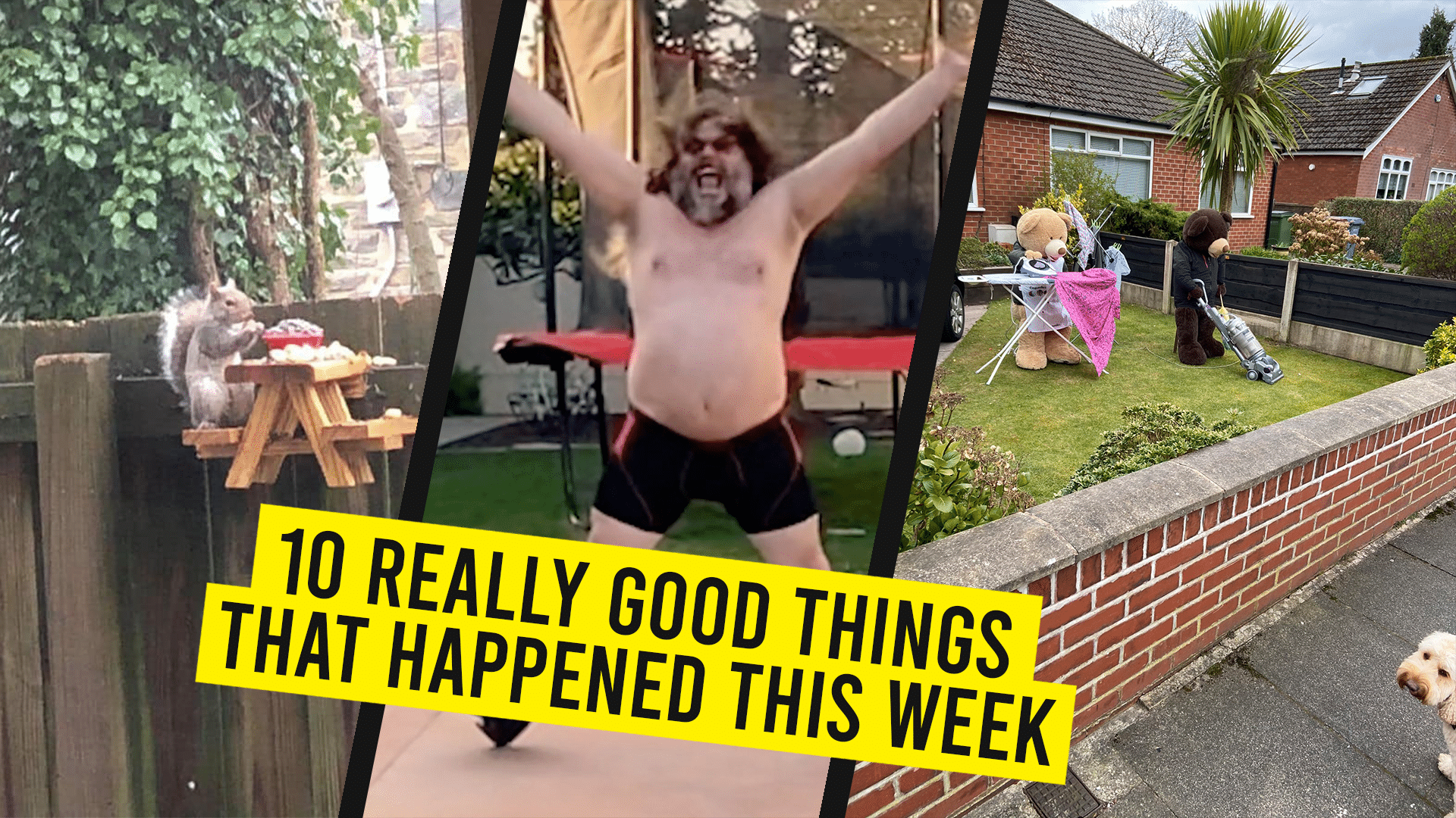 10 Really Good Things That Happened This Week..