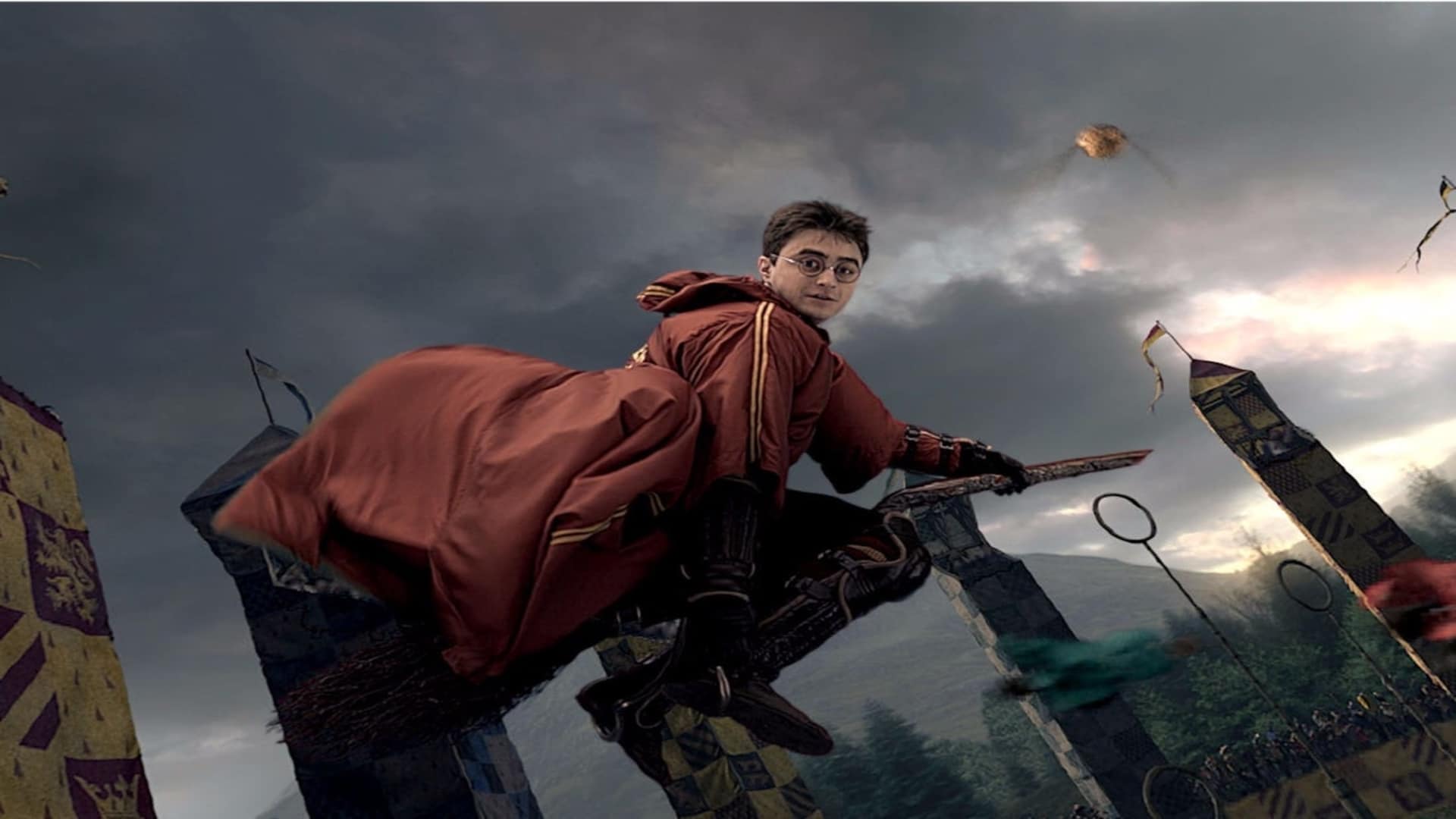The fighter Harry in Quidditch