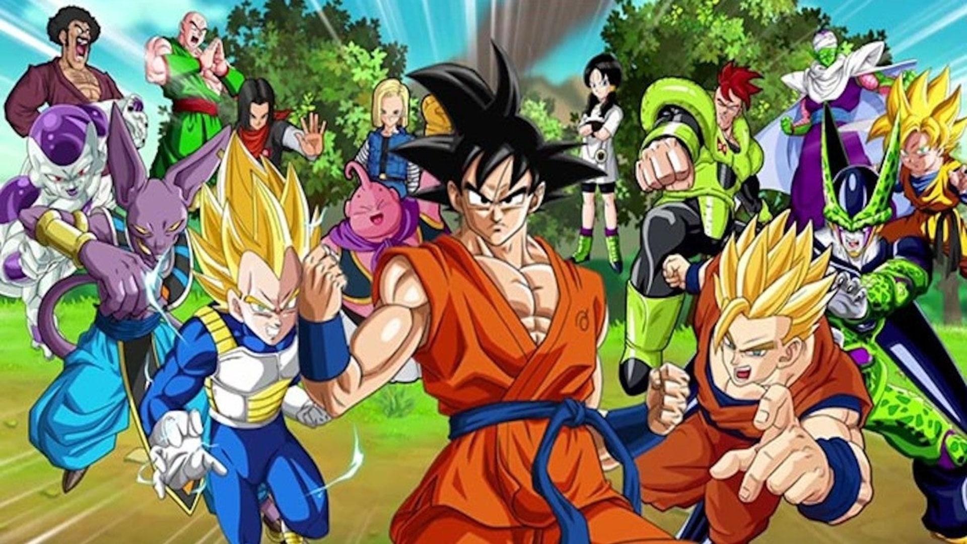 The Dragon Ball Super Characters