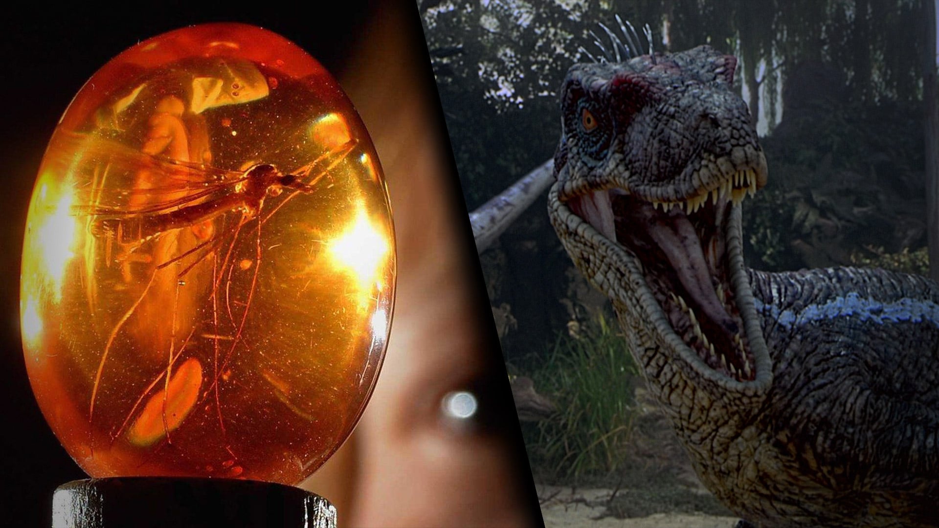Jurassic Park: 10 Hidden Details About the Movies Spielberg Hid From of Us