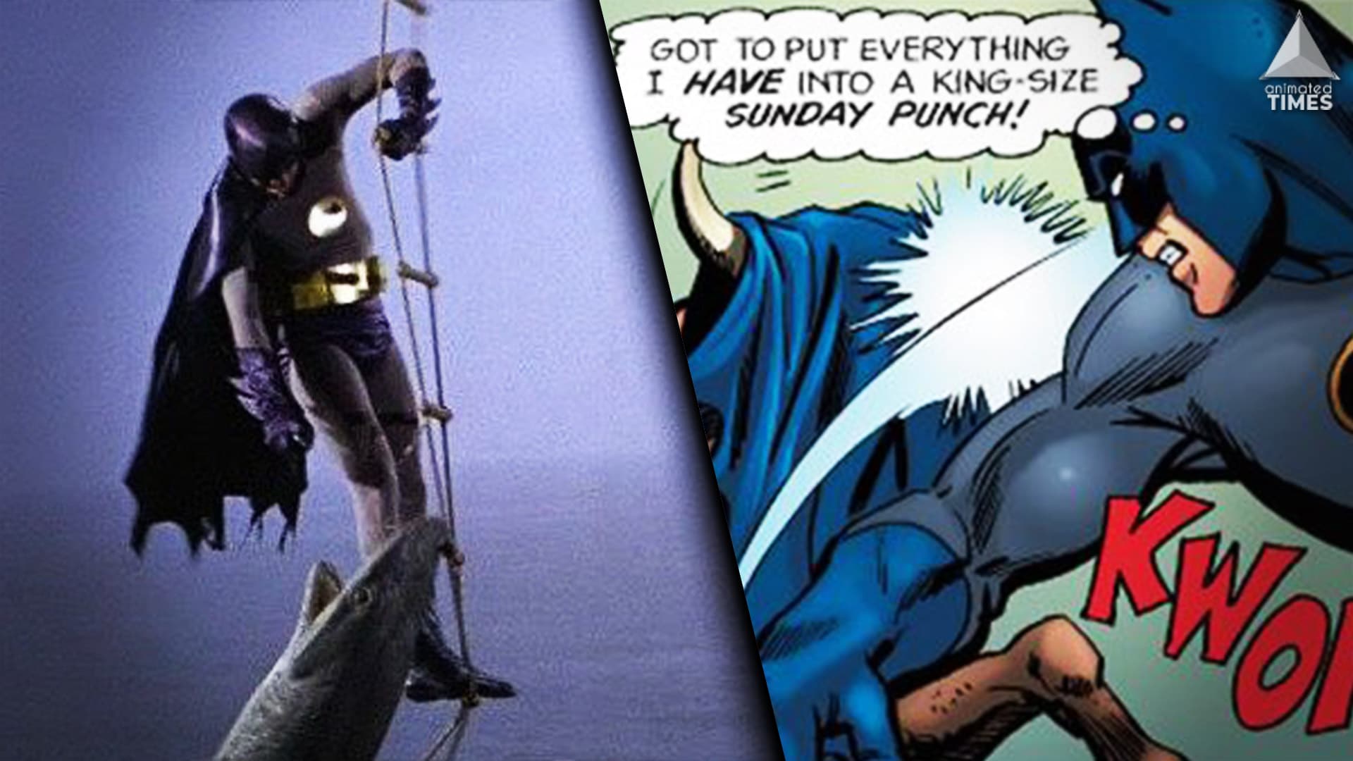 Batman: 10 Times He Mercilessly Beat Animals To A Pulp