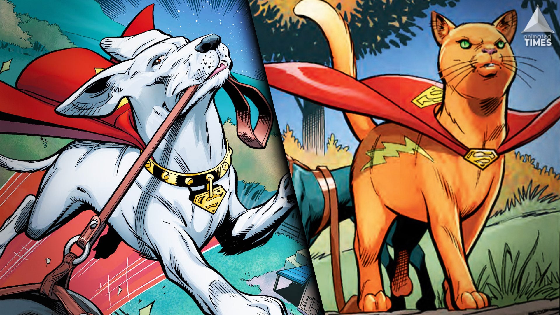 Super-Dogs to Super-Horses: Best Pet Companions In DC Universe