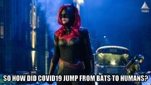 10 Hilarious Batwoman Memes To Make You ROFL