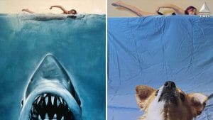 Quarantine Creativity: Cosplaying & Recreating Scenes Of Iconic Movies