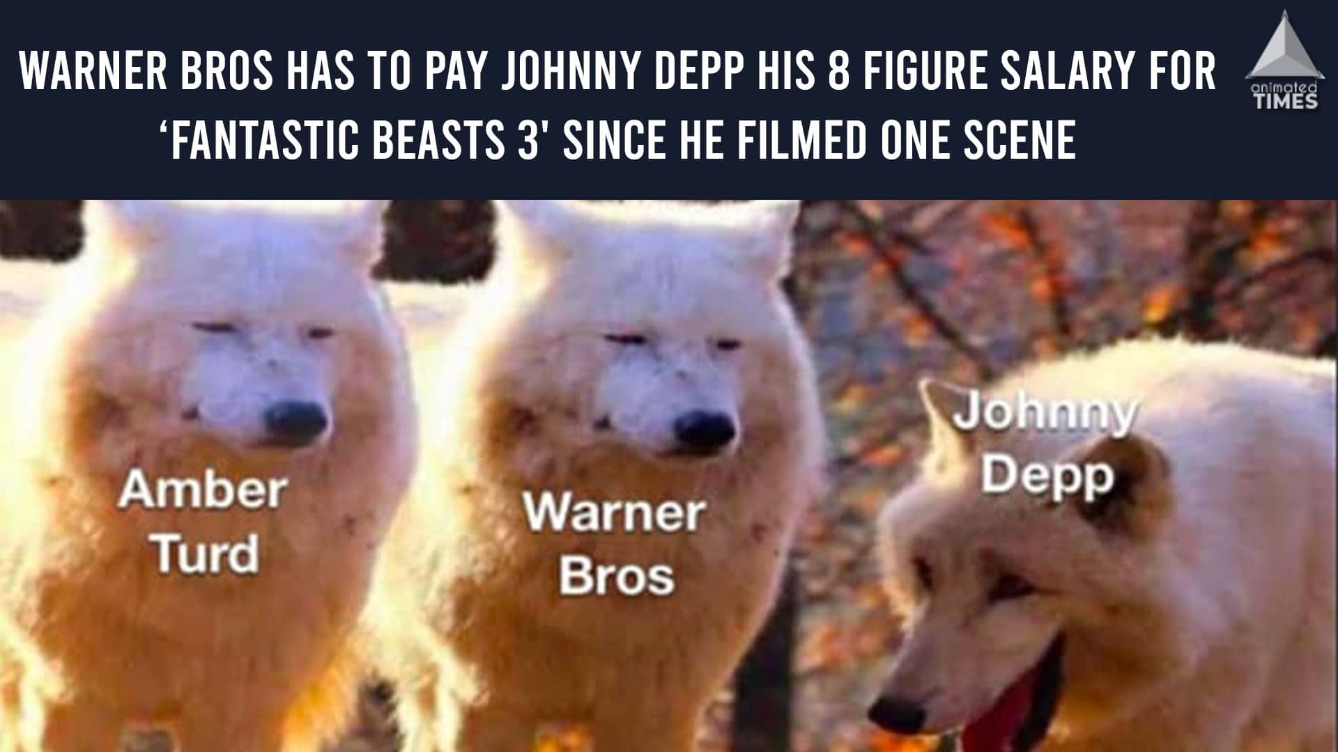 10 Justice For Johnny Depp Memes That Will Crack Up All Depp Fans