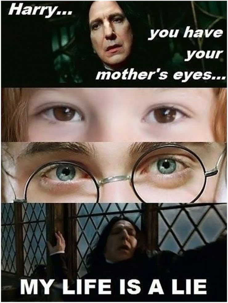 Harry Potter Meme Snape You Have Your Mothers Eyes