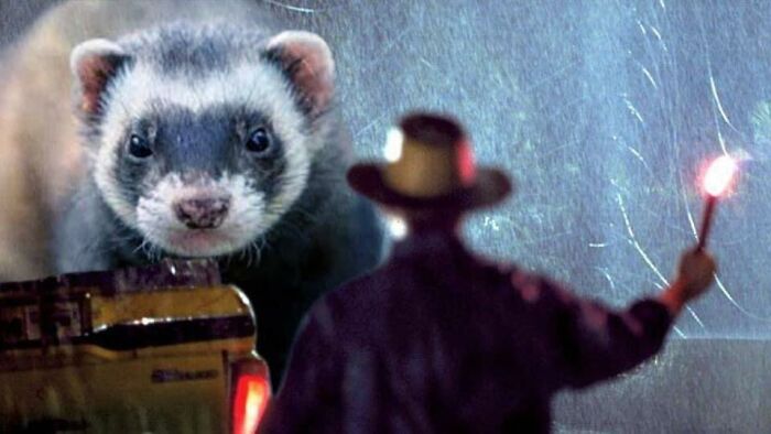 Dinosaurs Replaced With Ferrets in Jurassic Park Got Social Media Into A Frenzy