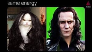 10 Phenomenal Tom Hiddleston Memes That Make Us Love Him Even More