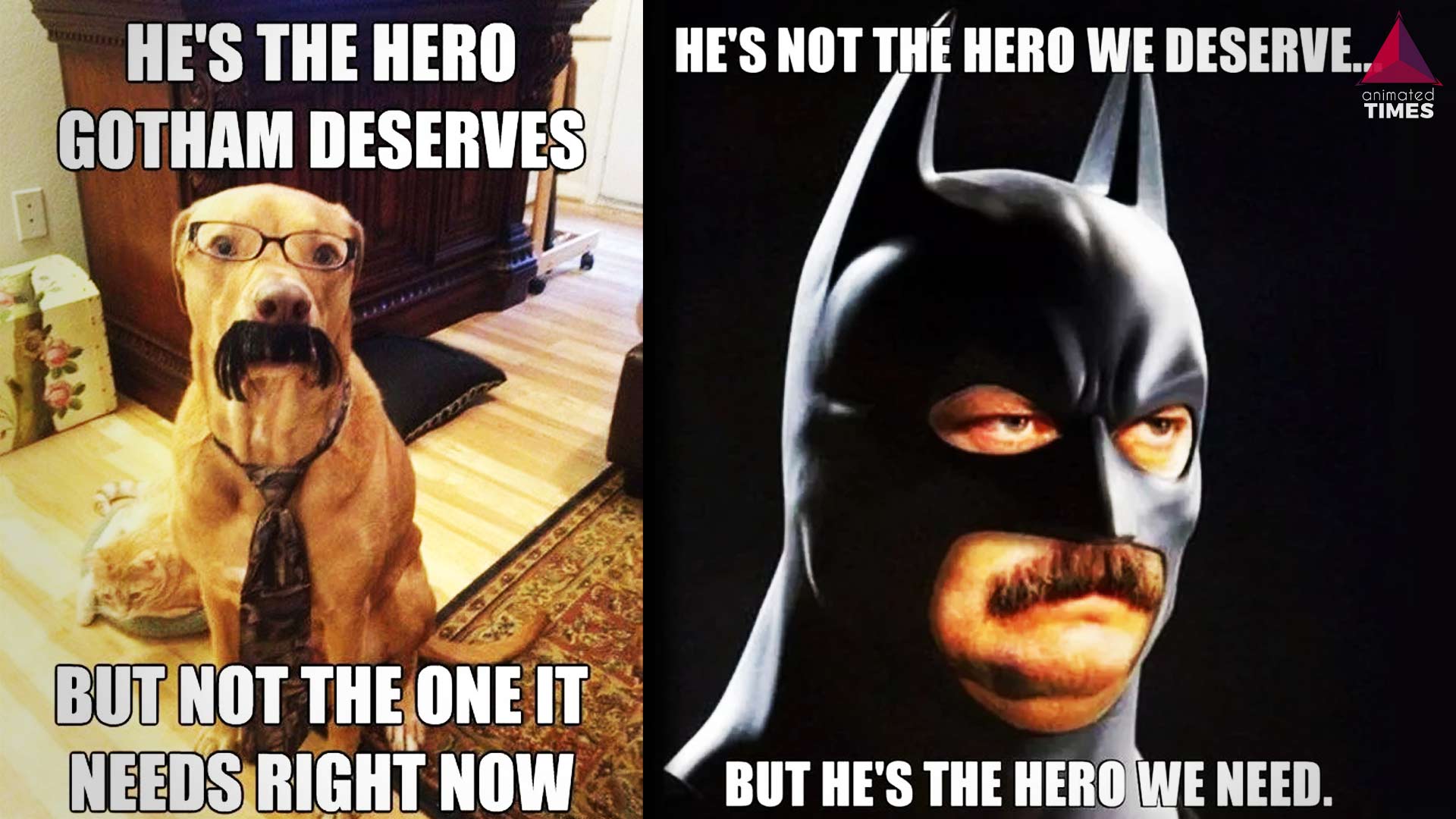 10 Amusing Batman “The Hero We Deserve” Memes