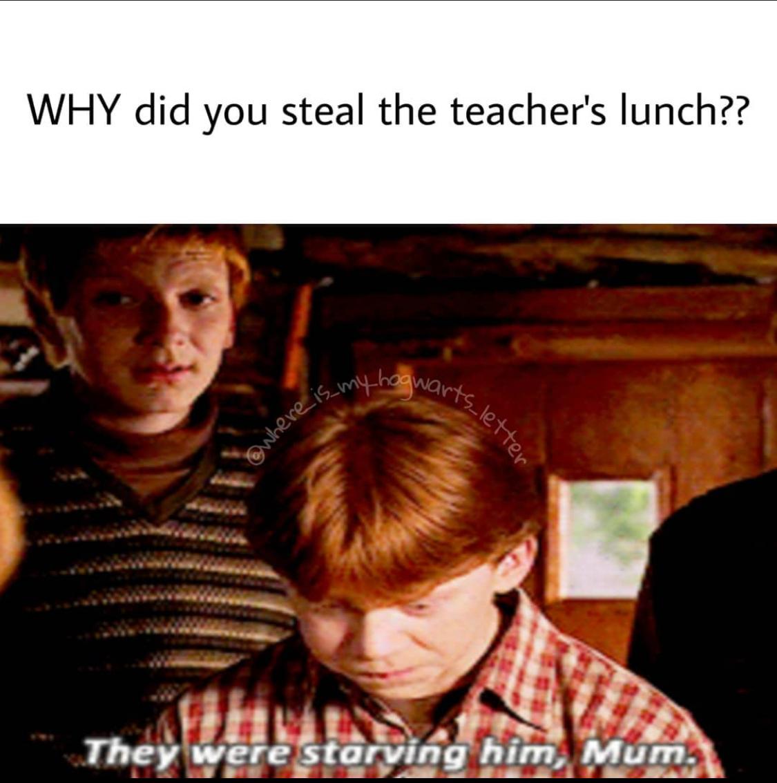 Funny Ron and Hermione meme