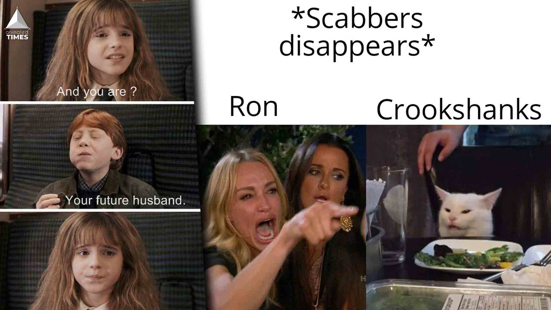 Funny Ron and Hermione meme