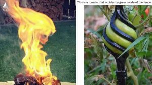 10 Almost Impossible Moments That Defied The Odds