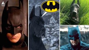 A Dog That Resembles Batman Has Gone Viral, And It Appears That Gotham Is In Safe Paws