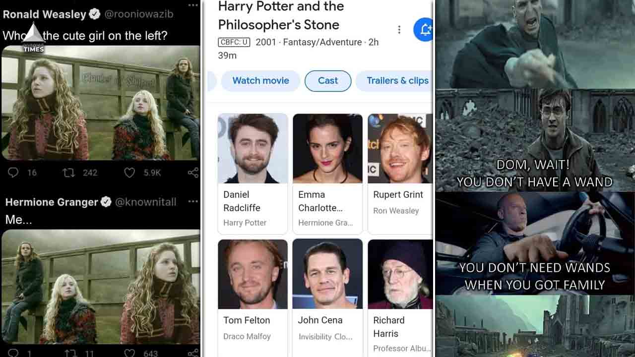 20 Harry Potter Memes For Potterheads