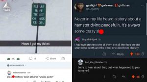 21 Times Dark Comments Outshined A Normal Post