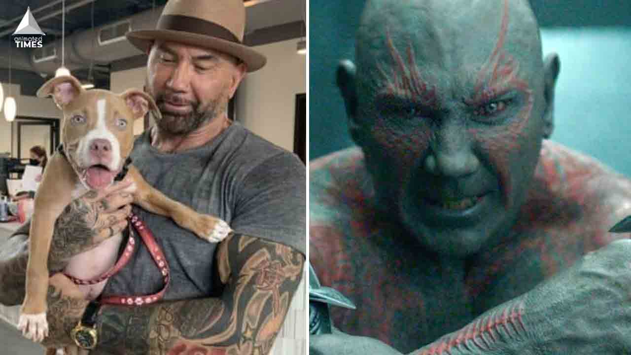 GOTG Dave Bautista Did The Cutest Thing For A Puppy