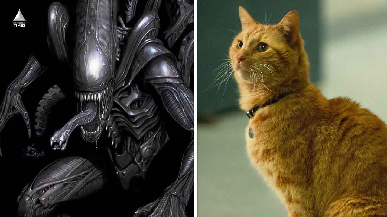 Marvels Alien Gives Cats A Deadly New Role in the Franchise